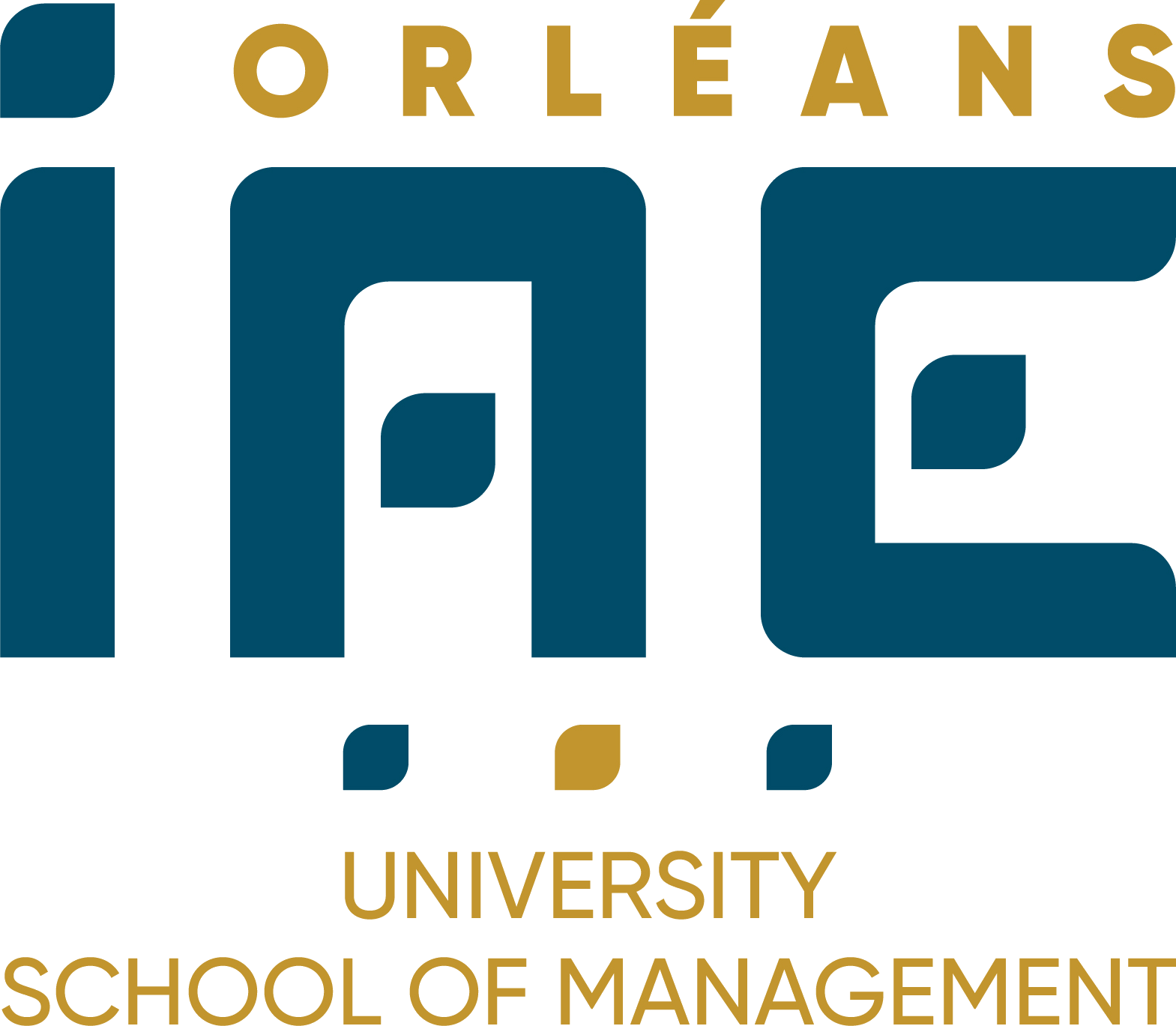 IAE Orléans